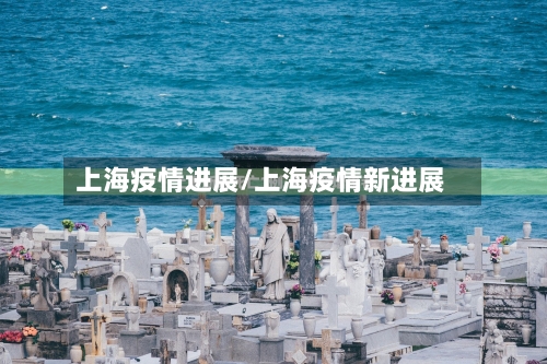 上海疫情进展/上海疫情新进展