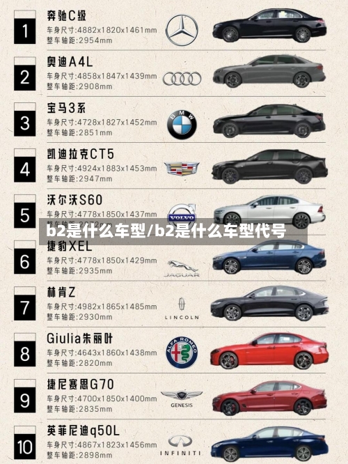 b2是什么车型/b2是什么车型代号