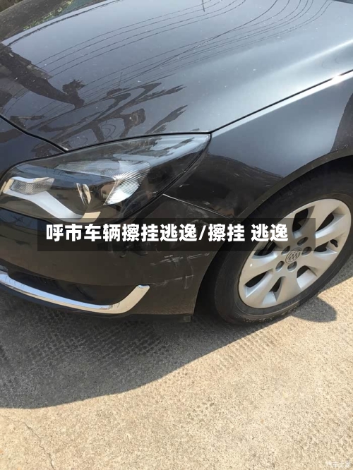 呼市车辆擦挂逃逸/擦挂 逃逸