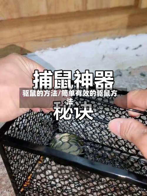 驱鼠的方法/简单有效的驱鼠方法