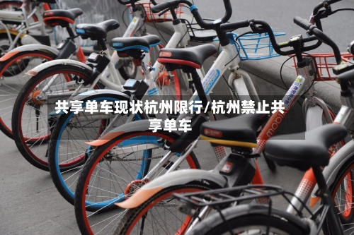共享单车现状杭州限行/杭州禁止共享单车