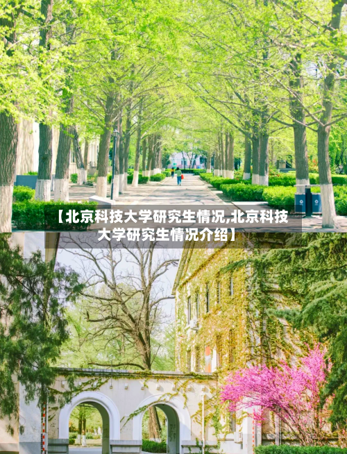 【北京科技大学研究生情况,北京科技大学研究生情况介绍】