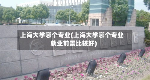 上海大学哪个专业(上海大学哪个专业就业前景比较好)