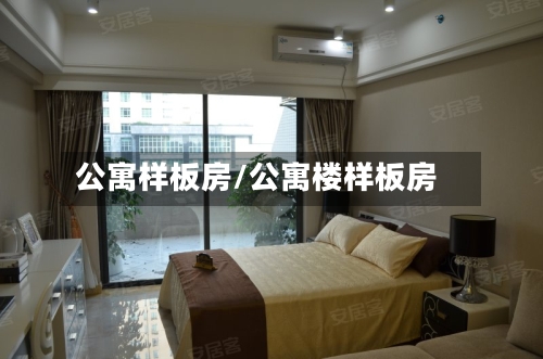 公寓样板房/公寓楼样板房