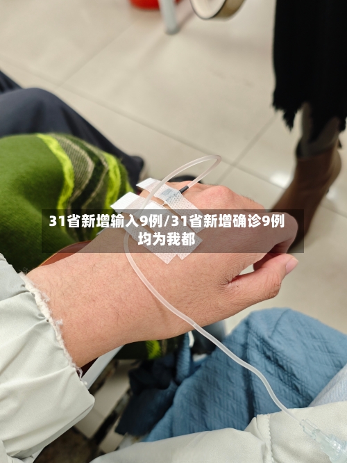 31省新增输入9例/31省新增确诊9例均为我都