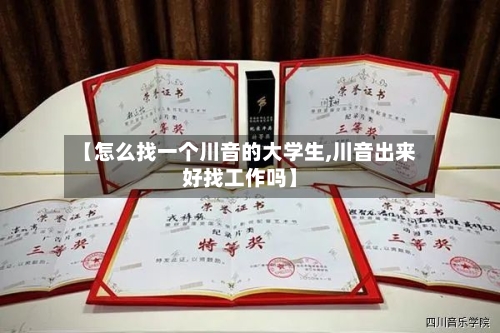 【怎么找一个川音的大学生,川音出来好找工作吗】-第2张图片