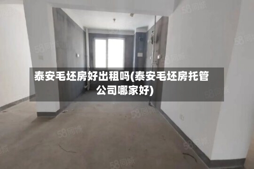泰安毛坯房好出租吗(泰安毛坯房托管公司哪家好)