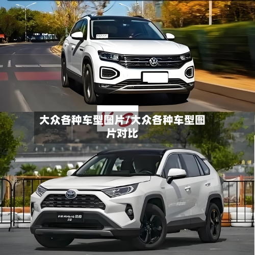 大众各种车型图片/大众各种车型图片对比