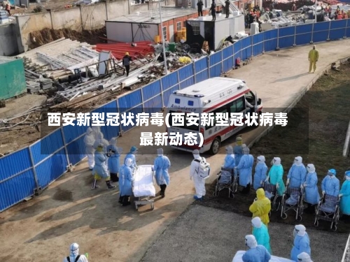 西安新型冠状病毒(西安新型冠状病毒最新动态)