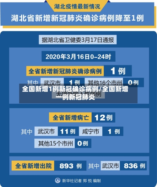 全国新增1例新冠确诊病例/全国新增一例新冠肺炎-第3张图片